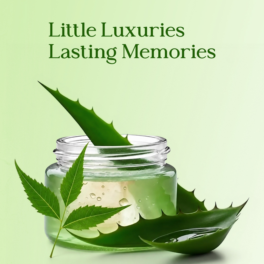 1100x1100-Banner.jpg-1
